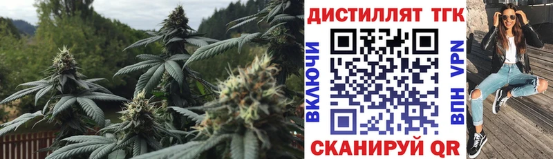 ТГК вейп  где купить   Салехард 